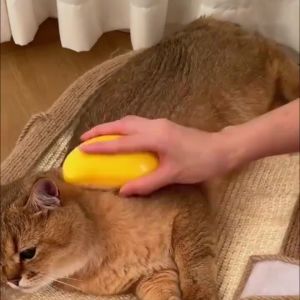 แปรงหวีขนแมว3 In1 ไอน้ำสำหรับไล่แมว แปรงไอน้ำสำหรับแมวใช้นวดได้ หลากหลาย แปรงหวีสำหรับกำจัดขนแมวและสุนัข