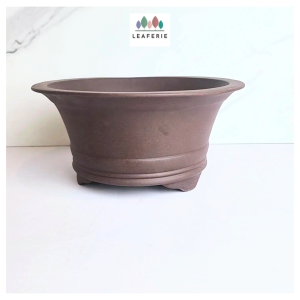 The Leaferie Bonsai (Series 83) Flowerpot flowerpots . flower pot . plant pots . planter planters