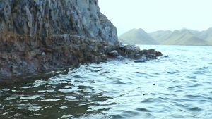 Cần câu tay giấc mộng đế vương 8H tặng ngọn phụ Cần Câu Tay Oem Nhiều Kích Thước Cần Câu Tay Chất Lượng Cao - Lazada