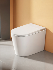 Compact Intelligent Toilet 58CM