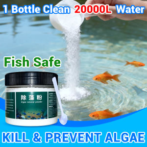 ✨Algaecide powder✨Algae remover for aquarium 200g Algae and moss remover for aquarium Daily Algae Prevention