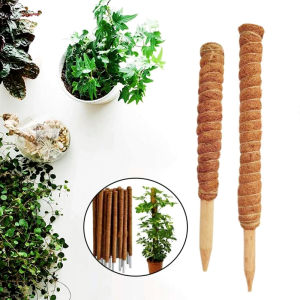 30/40/50cm Garden Coir Totem Coconut Palm Sticks Moss Pole Pole Moss Stick Vine Support Plant For Climbing Plants Support Extension
