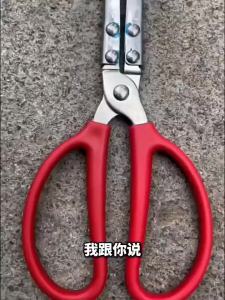 LECAN | Garbage Picking Long Handle Clamps