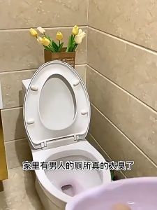 500ml Flower Fragrance Multipurpose Toilet & Bathroom Cleaner Spray Included Pembersih Tandas & Bilik Mandi花香洁厕液公司用厕所除臭剂强力清洗剂洁厕剂厕所马桶清洁剂带喷头