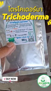 ไตรโคเดอร์มา Trichoderma asperellum รักษาโรคพืช ชนิดผงเชื้อ ผสมสารจับใบ 100g