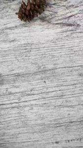 Dzikir Pagi & Petang Per Kata - Pustaka Arafah | Akhy Agency