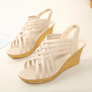 Trendy Roman Style Thick Heel Sandals Womens Summer New Fairy Style High Heels Waterproof Platform Flatform Slip-On Shoes