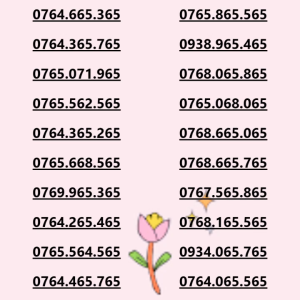 Sim Mobifone 65x65 Mang ý nghĩa tài lộc sinh sôi may mắn phú quý và bình an(CHƯA KÍCH HOẠT PHẢI ĐK CHÍNH CHỦ)