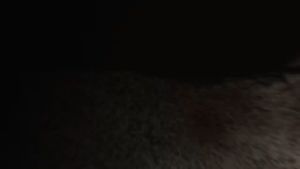 Sepatu Badminton Pria Terbaru Khamzo D14 Hijau Terbaru Sepatu Olahraga Cowok Kekinian