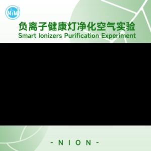 [N IONS MASTER] HA101 SMART IONIZERS