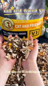 Hạt Cho Mèo cat and friend PET V1 Hạt thịt sấy siêu Mix Thịt Đông Khô Kích Thích Thèm Ăn