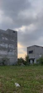 Men vi sinh nhà yến biopromax 1kg - tăng đàn - kích thích sinh sản