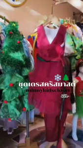 (NEW 2024) ชุดคริสมาสเด็ก ชุดราตรีเด็ก (ED11) ชุดเดรสเด็กผู้หญิง ชุดกระโปรงเจ้าหญิงChildrens Christmas outfits childrens evening dresses (ED11) girls dresses princess skirts