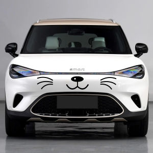 Miếng Dán Biểu Cảm Hoạt Hình Dễ Thương Cho Smart Car Face Front Huyệt Moustache Modification Accessories Tấm Dán Thân Xe