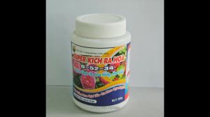 Super kích ra hoa 0 52 34 cho hoa hồng hoa giấy 100gr Minh Hân Garden