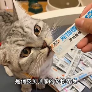 [BUY 10 Ship 20] 1pcs Cat Stricks Snacks Wonderful Fresh Wet Food Pack Liquid Nutrition Adult Cats Kittens Fattening