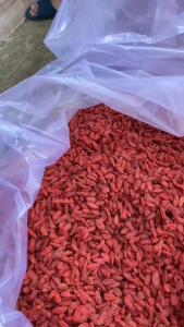 Kỷ Tử Đỏ Câu Kỷ Tử Ninh Hạ Sấy Mộc.Chuẩn An Toàn Vệ Sinh Thực Phẩm Túi 100G.200G||HAMIFOODS