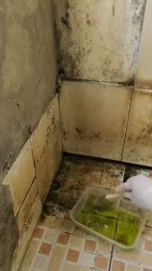 Pembersih Keramik Kamar Mandi / Pembersih Toilet / Pembersih Kerak / Pembersih Lantai / CLEER 500ml