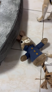 Danolyte® 200 ppm Pet Disinfectant Spray (500 ml) | HOCl Formula | Alcohol-Free safe for pets