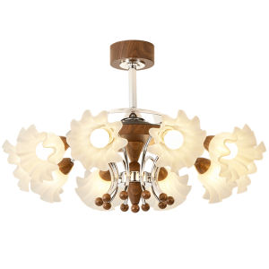 DGY | Invisible French Vintage Style Fan Light For Living Room