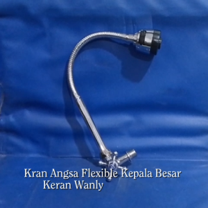 Kran Angsa Flek Besar Wanly