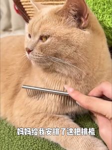 Pet Beauty Comb Comb Professional Knot Untying Comb Stainless Steel Needle Comb Cat Hair Loss Pet Supplies