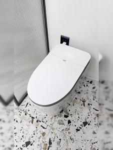 TEM | Intelligent Tanked Foam Shield Automatic Lid Toilet
