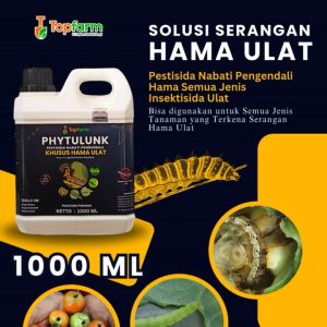 Obat Ulat Terbaik: Solusi untuk Mengatasi Ulat pada Tanaman