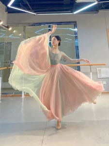 Ballet Performance Unitard Skirted Practice Costume Womens Classic Top Yoga Fitness Dancewear Flowing Skirt Design