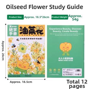 ZAODONGFANG | DIY Spring Outdoor Windmill Toy