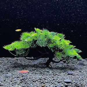 ก้านไม้ 65 ชม ก้านไม้ตกแต่ง ยาวประมาณ 65 ชม วัสดุพลาสติกบิดโค้งได้