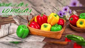 Lorigun Artificial Bell Peppers Fake Veggie Colorful Bell Peppers for Decoration Decorative Vegetables Red Green Yellow Bell Peppers 6Pcs (Each Color 2Pcs)