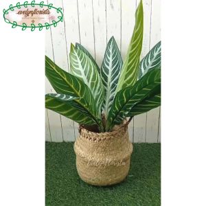 Pohon Daun Aglonema Hijau Strip Artificial Pot Dasar Hitam Cover Purun Belly Dekorasi Ruang Tamu Aesthetic