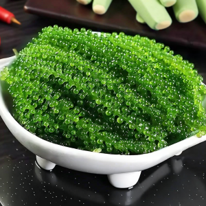 GUOXIANGQIAN | Healthy Ready-to-eat Sea Grapes Snack