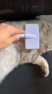 Sisir Kucing Bulu Rontok & Sisir Kawat Kucing