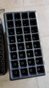 50pcs-100Pcs Seedling Tray 32/50/72/105/128 Holes Garden Starter Trays Strength Seed