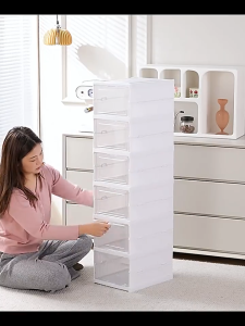 Home2U🏡 1/3/6/9 Layer Foldable Shoe Box Shoe Rack Organizer Shoe Storage Shoe Cabinet Dust Proof Shoe Box with Installation-Free
