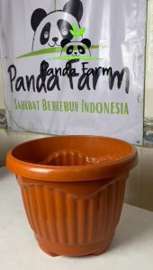 Pot Bunga Tanaman Shallom Mio Cantik No 35 - coklat