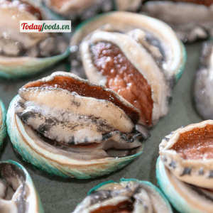 Bào Ngư ÚC Bích Hổ JADE TIGER Abalone (8-10 con / hộp) 500G  Chuẩn ăn Sashimi nướng hầm tiềm