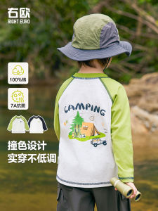 Autumn Collection Long Sleeve Boys T-shirt Childrens Casual Base Layer Top Baby Outfit Cotton 100% Outdoor Wear