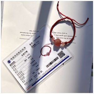 Silver Crystal Cat Claw Bracelet Woven Couple Hand Cord Simple Design Capture Your Heart Jewelry Fashion Accessories