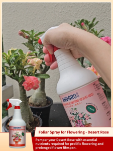 ANDGRO Foliar Spray for Flowering - Desert Rose (1000ml)