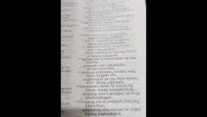 Magandang Balita Biblia MBBTAG050  (blue cover)