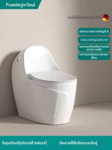PUAOLE | Antifreeze Large Bore Single Discharge Toilet