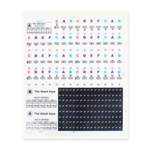 IRIN | IRIN Piano Keyboard Stickers Colorful Removable Note Labels for 88/61/54/49/37 Key Keyboards Beginner Learning Aid Parts
