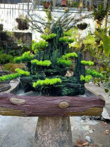 Hòn Non Bộ Thác Nước Đẹp - Tiểu Cảnh Hồ Cá - Thác Nước Phong Thủy