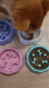 Mango 🐶ชามอาหารสัตว์เลี้ยง ชามอาหารหมา ชามอาหารฝึกให้ทานช้าลง ฝึกให้ทานช้าลง ช่วยลดการสำลัก