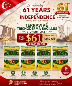 🇸🇬 Celebrating 61 Years of Singapore TERRAVIVÉ Trichoderma Bacillus Biofertiliser 🎉 4 Bags for ONLY $61