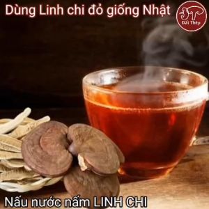 Trà Nấm Linh Chi Đỏ Đất Thép Giống Nhật 500g (2 loại: cắt lát hoặc nguyên tai) - Giải độc gan - Ổn định đường huyết - Hàng chính hãng