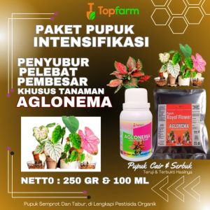 Pupuk Khusus Tanaman Aglonema / Pupuk Khusus Aglonema / Pupuk Aglonema Untuk Daun Akar / Pupuk Aglonema Lengkap / Pupuk Aglonema Cepat Beranak